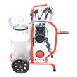 APARAT DE MULS VACI CU GRUP COLECTOR 240CC