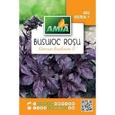 SEM BUSUIOC CU FRUNZE ROSII 2 GR