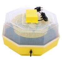 INCUBATOR CU CHEITA