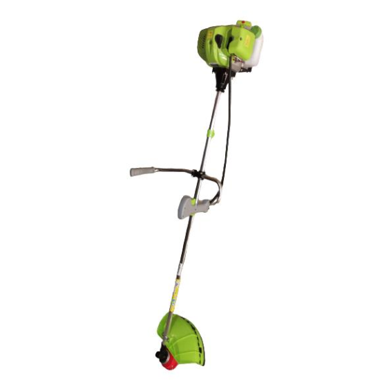 GP - MOTOCOASA - GP550 - 52cc