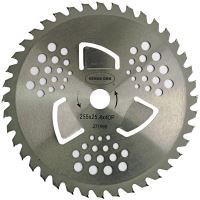 DISC MOTOCOASA CU ARIPI 40T