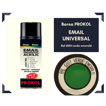 SPRAY EMAIL ACRILIC RAL6001
