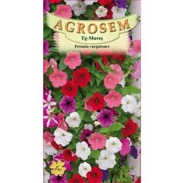 PETUNIA CURGATOARE 0.2 GR