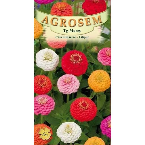 CARCIUMARESE GRANDIFLORA 0.9 GR