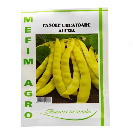 FASOLE URCATOARE CILINDRICA BLUE LAKE 20 GR