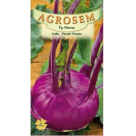 GULII PURPLE VIENNA 2 GR