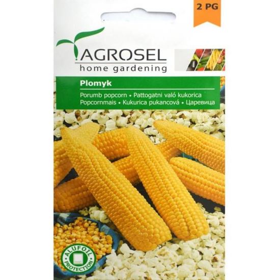 PORUMB PENTRU FOLORICELE  GR