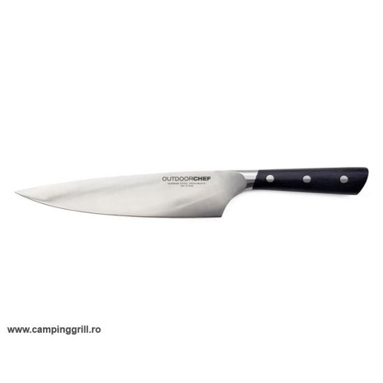 CUTITUL BUCATARULUI INOX