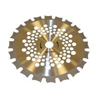 DISC TAIETOR 40T VIDIA DUBLU 255X25.4