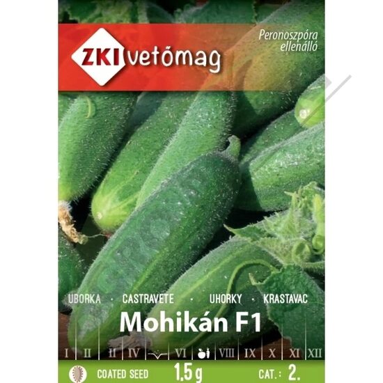 CASTRAVETI MOHIKAN F1 1.5 G