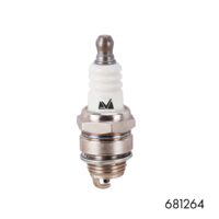 Bujie / Tip: 4T; C: Motosapa/Generator/Motopompa; M: Torch