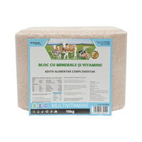 Bloc cu minerale si vitamine 10kg
