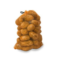 Sac 27x35 cm din tesatura polietilena tip Raschel , 9g, postocaliu, dunga