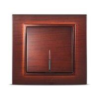 EL_ZENA MAHON_INTRERUPATOR LED