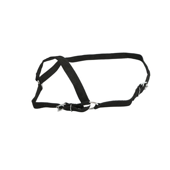 Capastru vaci nylon 25mm