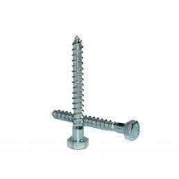 HOLSURUB CAP HEXAGONAL 10X60