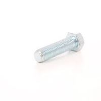BLISTER SURUB CAP HEXAGONAL 8X16 - 13 BUC