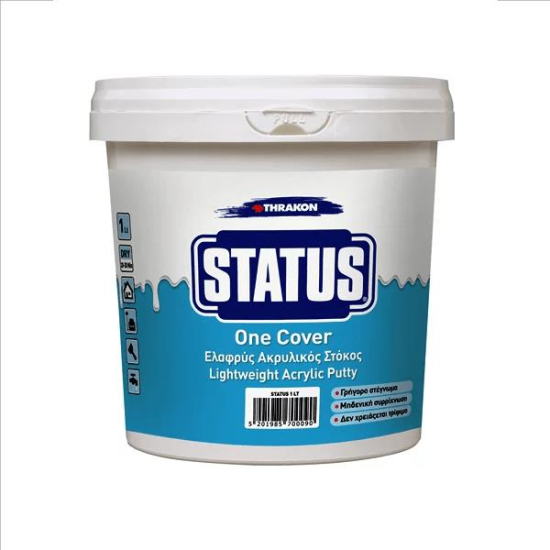 STATUS CHIT ACRILIC DE REPARATII INT SI EXT PT FISURI