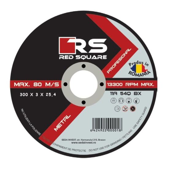DISC RS PROFESIONAL 300*3
