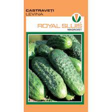 CASTRAVETI LEVINA 1G ROYAL