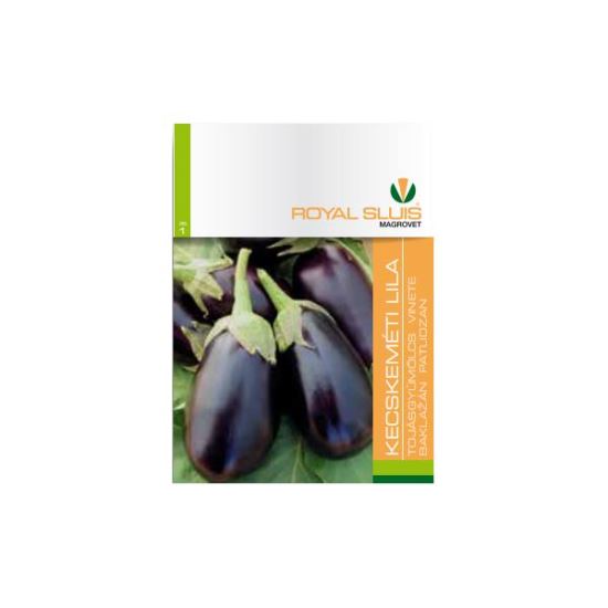 VINETE K. PURPLE 1 G ROYAL